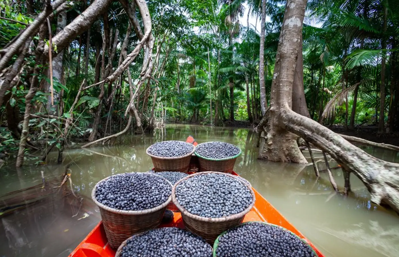 amazonia:-municipios-tem-r$-131,9-milhoes-para-regularizacao-fundiaria-e-assistencia-tecnica