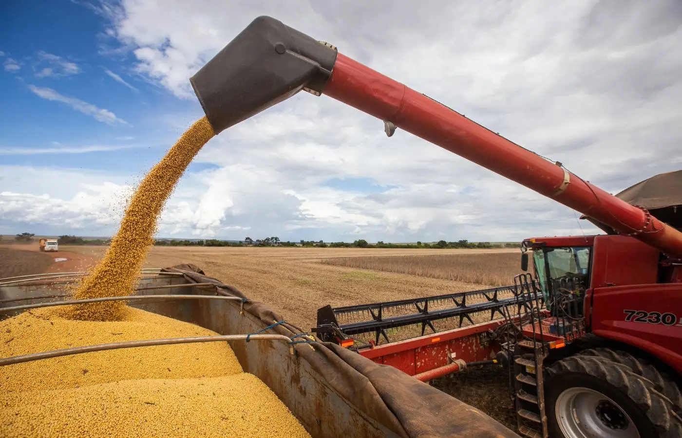 producao-de-graos-e-fibras-no-pais-deve-cair-3,4-milhoes-de-toneladas