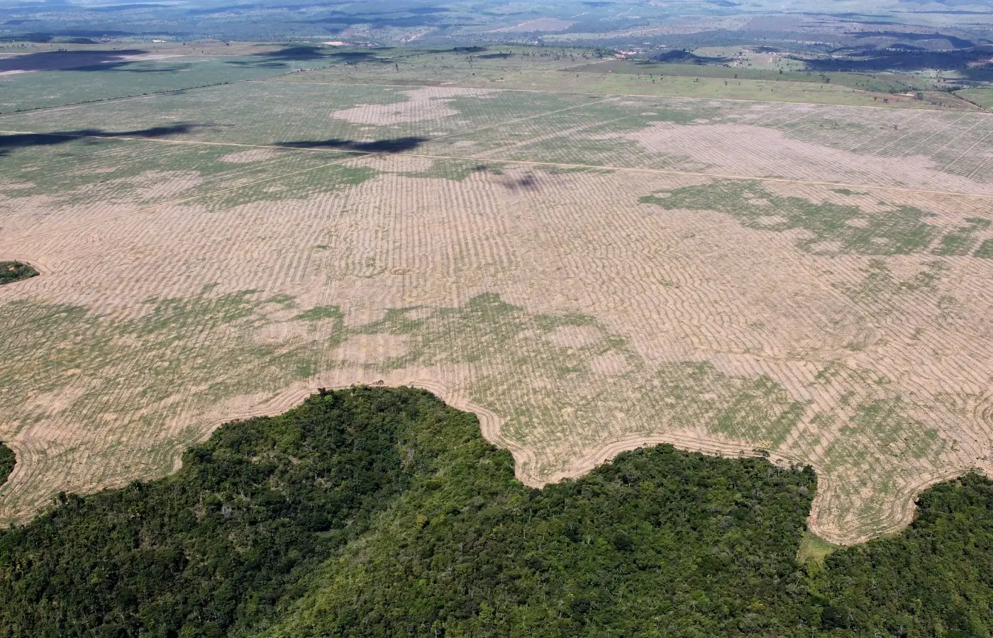 fpa-pede-adiamento-das-novas-regras-ambientais-de-financiamento-no-campo