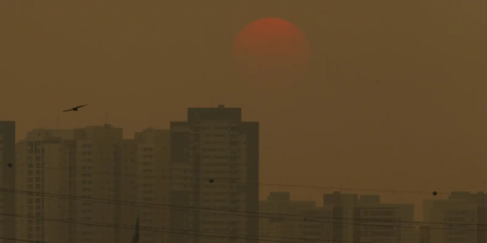 sensor-do-ar-de-baixo-custo-sera-lancado-no-acampamento-terra-livre