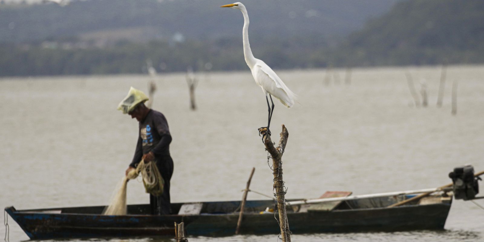 mudancas-aprovadas-para-o-seguro-defeso-previnem-fraudes,-diz-relator