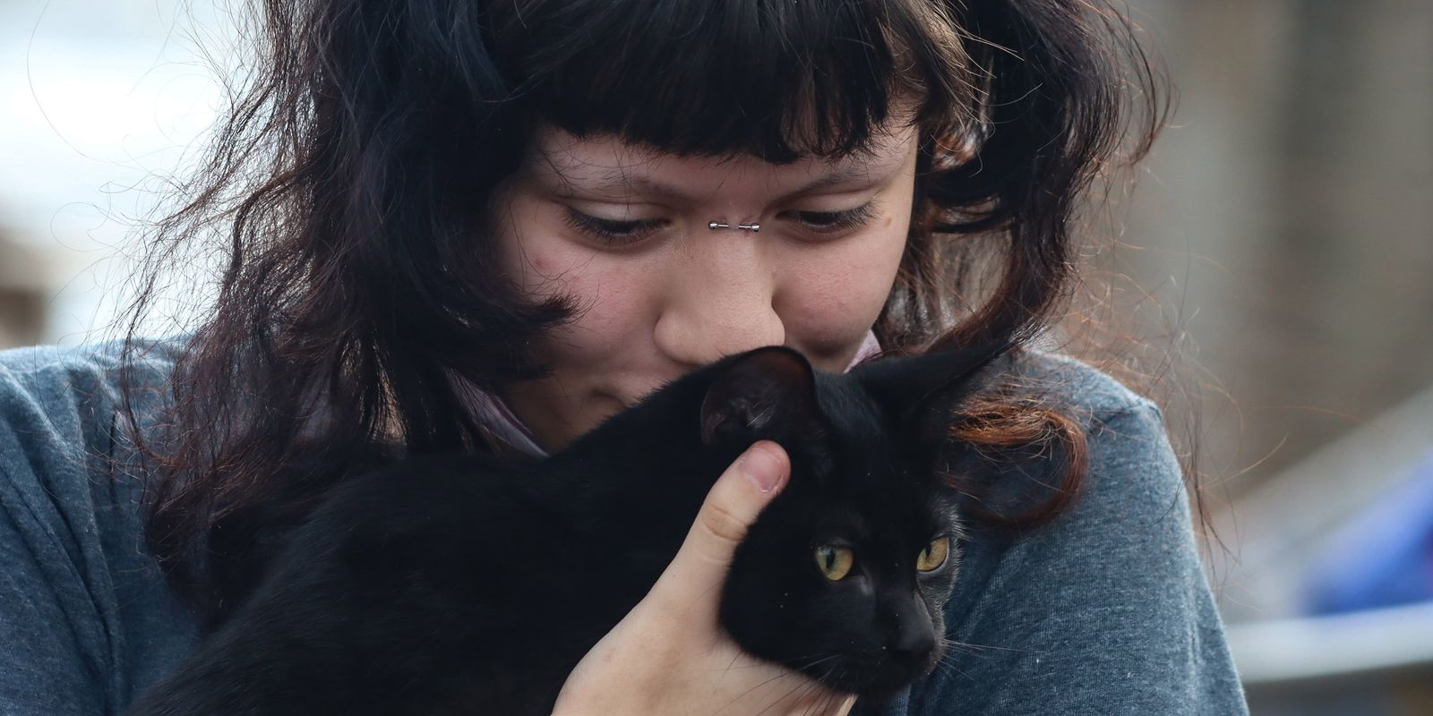 programa-da-prefeitura-de-sp-faz-castracao-gratuita-de-caes-e-gatos